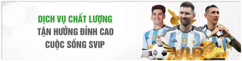 dịch vụ chất lượng, tận hưởng đỉnh cao cuộc sống svip