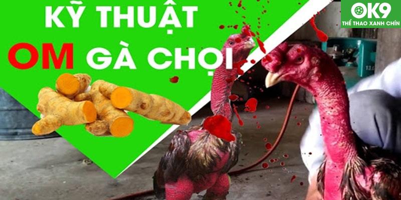 Để om gà chọi chuẩn nhất anh em cần thực hiện theo quy trình sau đây