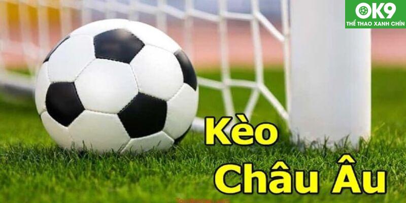 Hội viên làm chủ mọi ván đấu khi thuộc lòng cách đọc kèo Odds